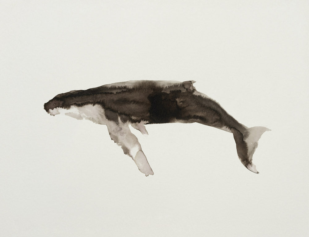 Ocean Creatures 2 artwork