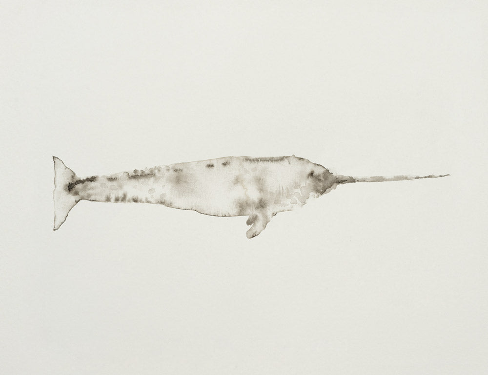 Ocean Creatures 3 artwork