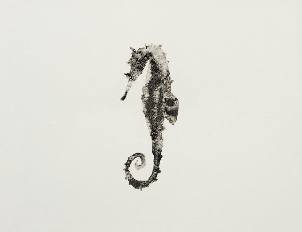 Ocean Creatures 5 artwork