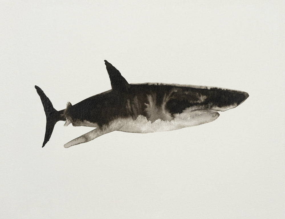 Ocean Creatures 6 artwork
