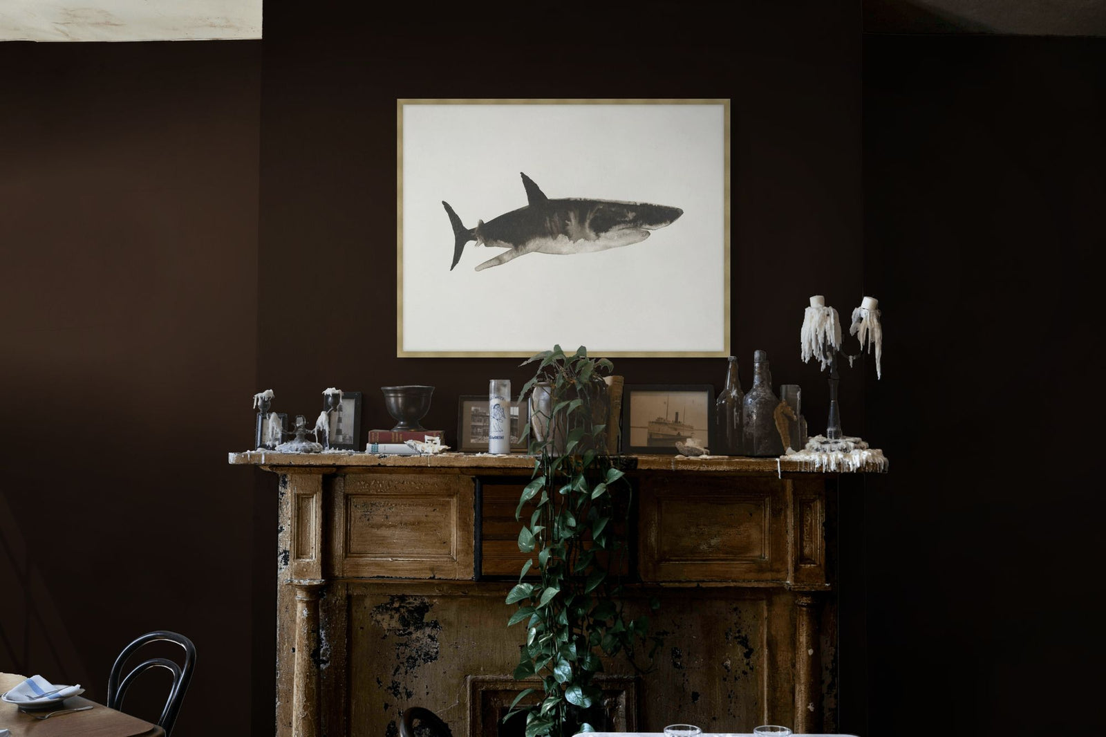 Ocean Creatures 6 in a room