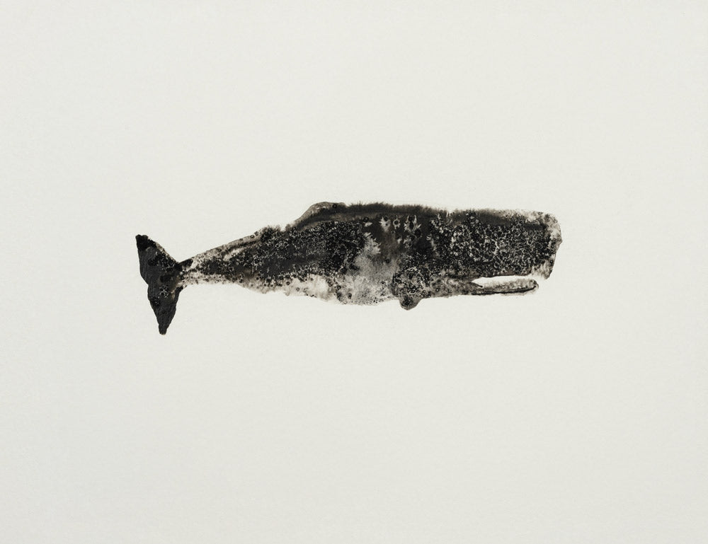 Ocean Creatures 7 artwork
