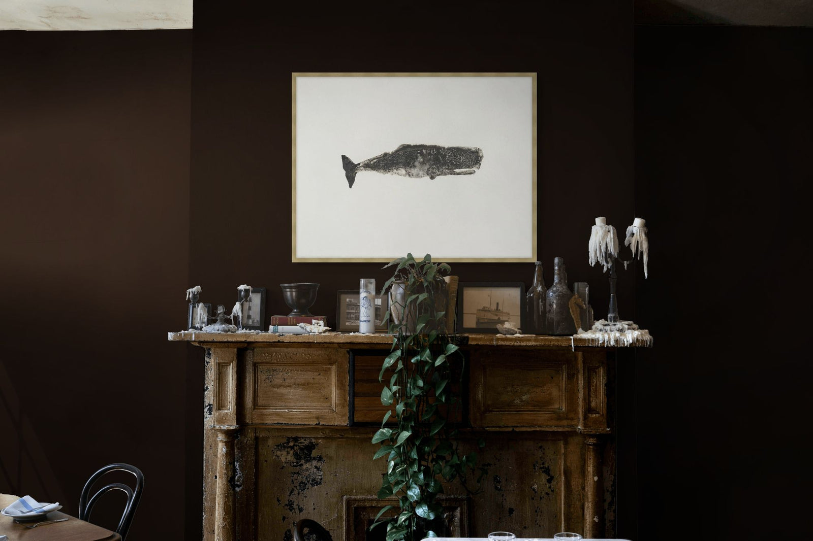 Ocean Creatures 7 in a room