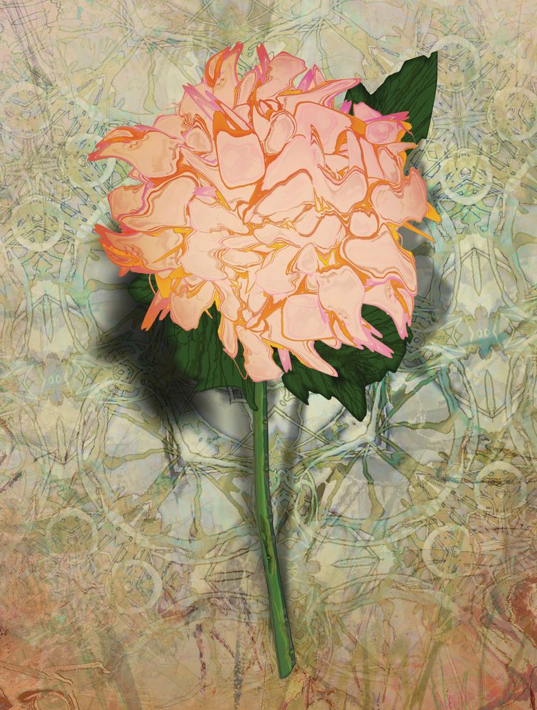 Analogous Dahlias 11 artwork