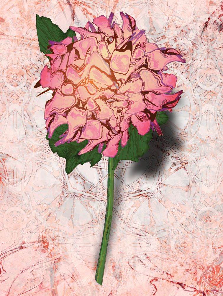Analogous Dahlias 12 artwork