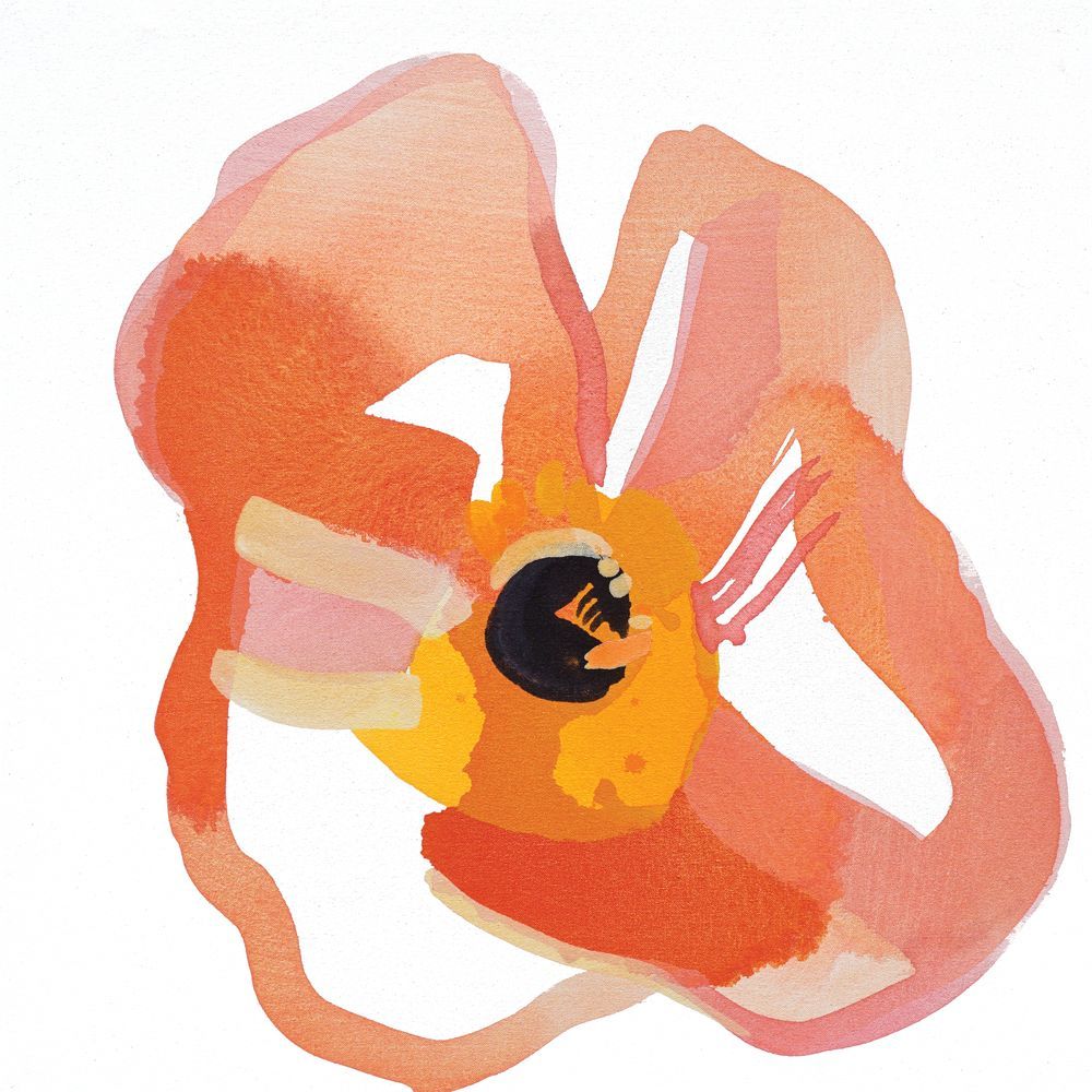 Poppy Dream 1 artwork