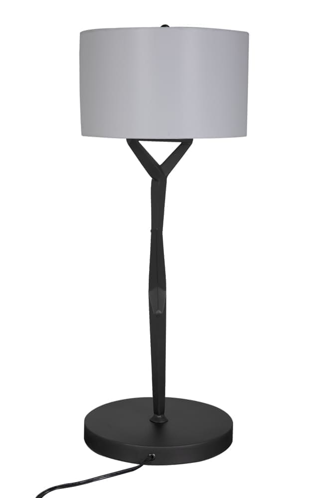 Arizona Lamp with Shade
