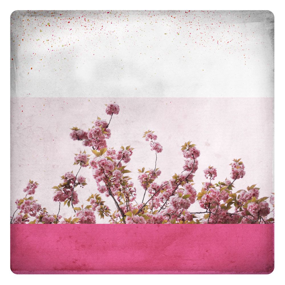 Rose 1 artwork