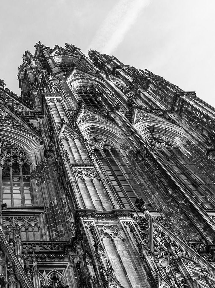 The Gothic Cathedral 1 artwork