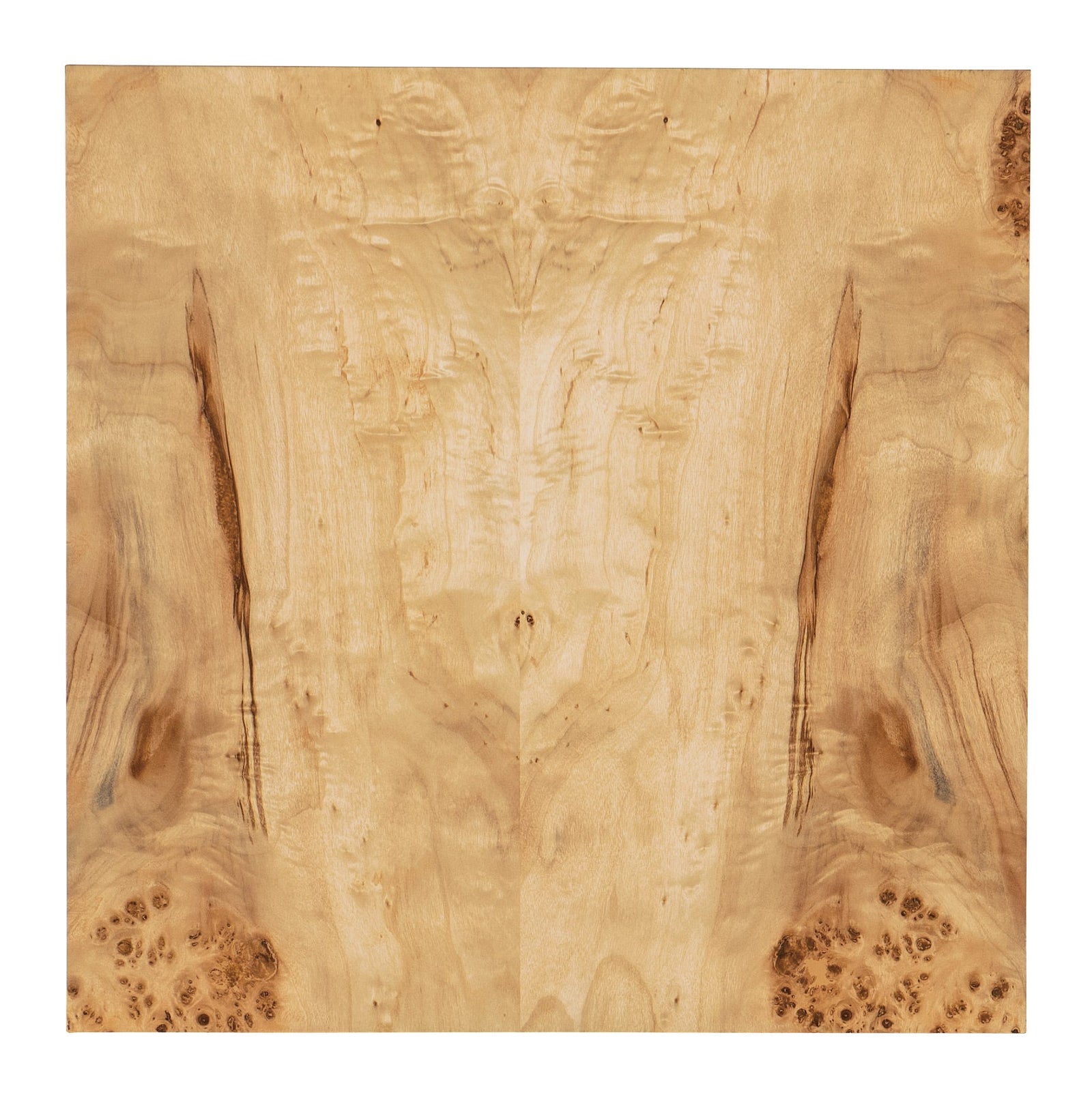 Auberon Burl Side Table