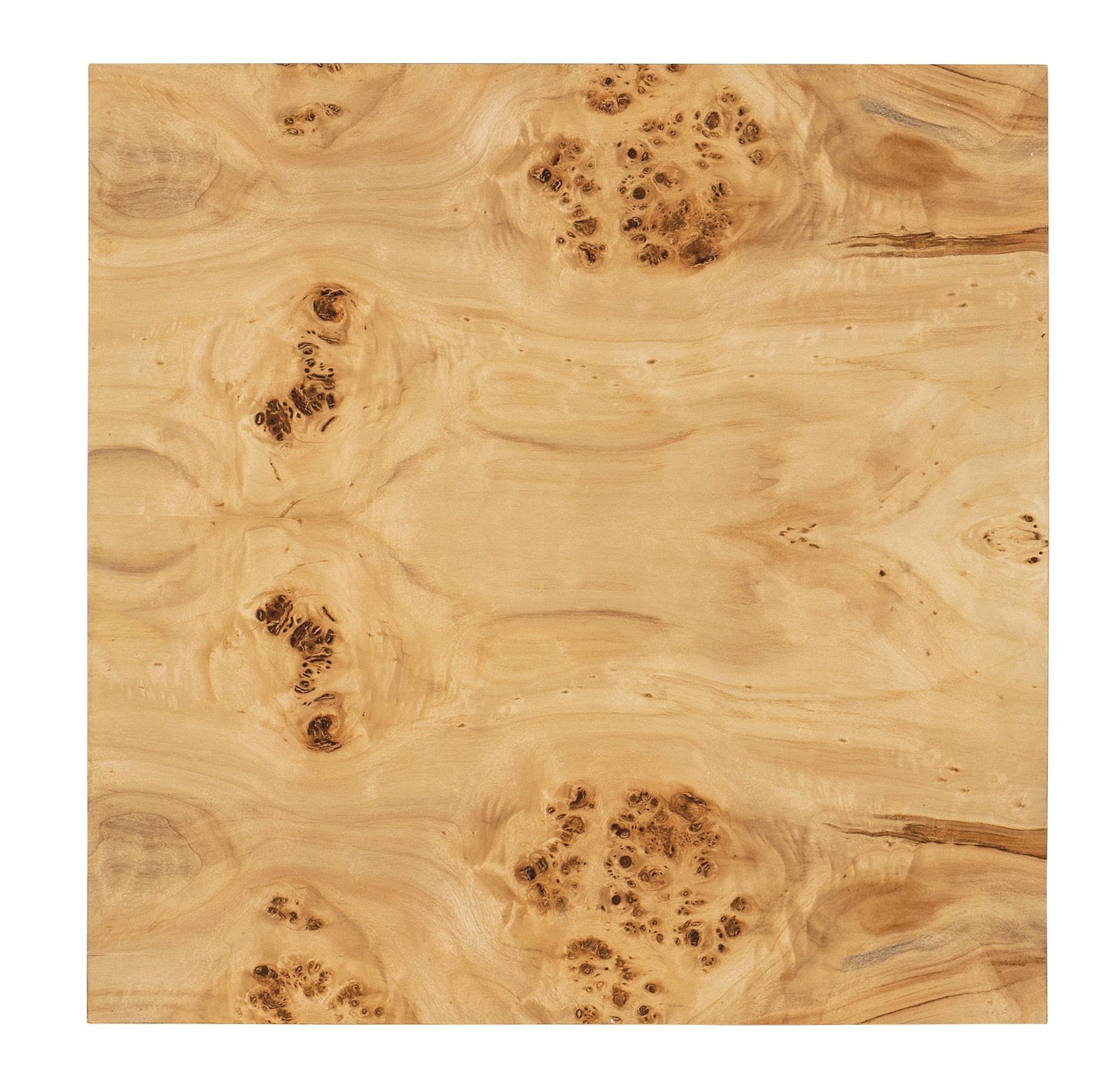 Auberon Burl Side Table