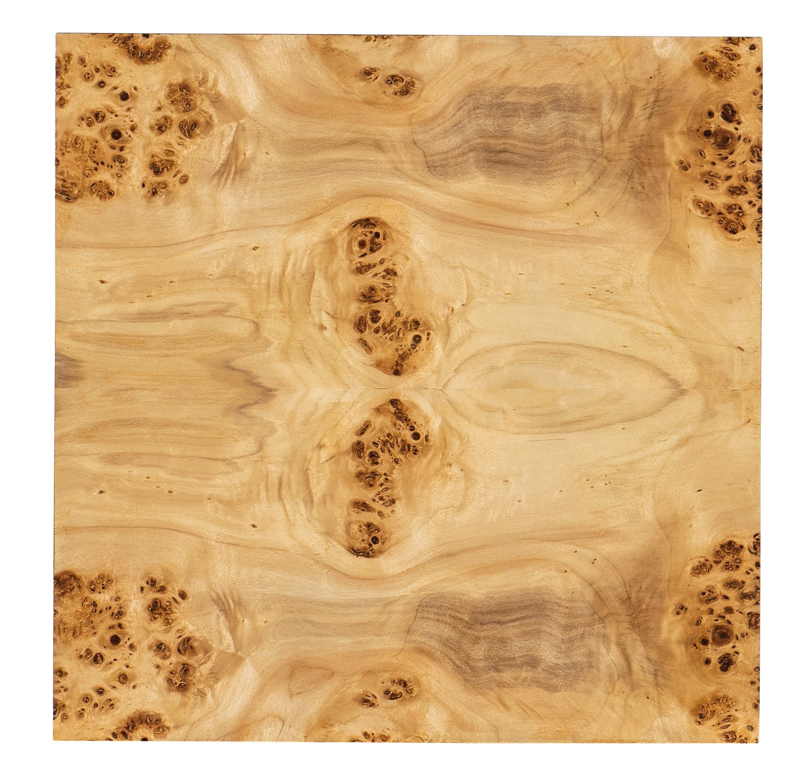 Auberon Burl Drink Table