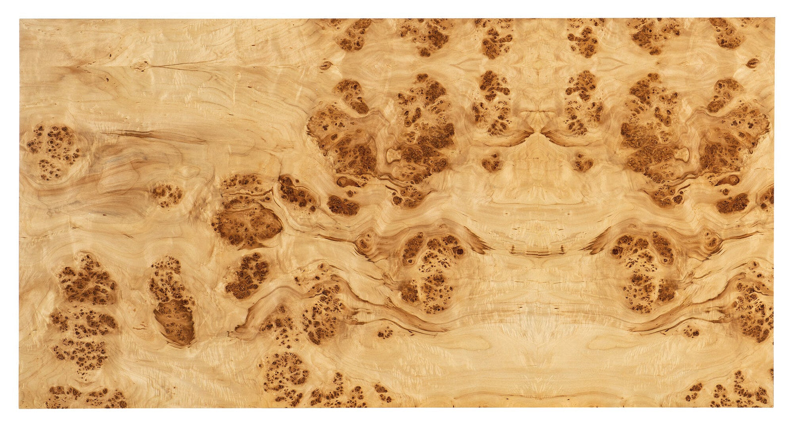 Auberon Burl Coffee Table