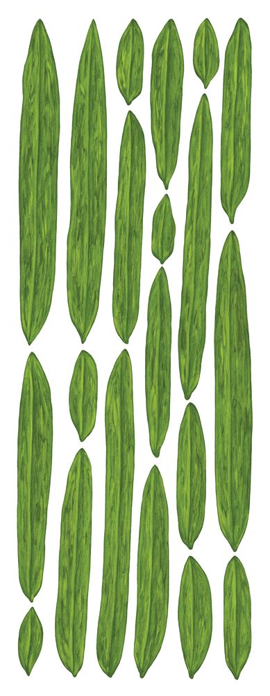 Botanicus Folium 1 artwork