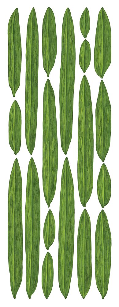 Botanicus Folium 2 artwork