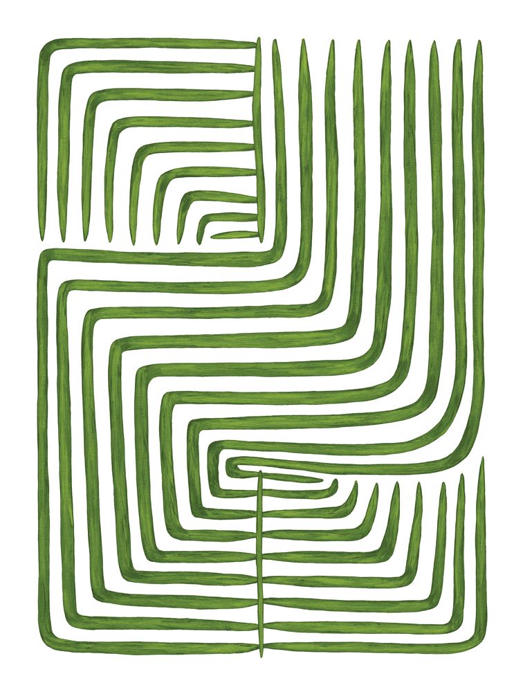 Botanicus Ordinatio 2 — artwork
