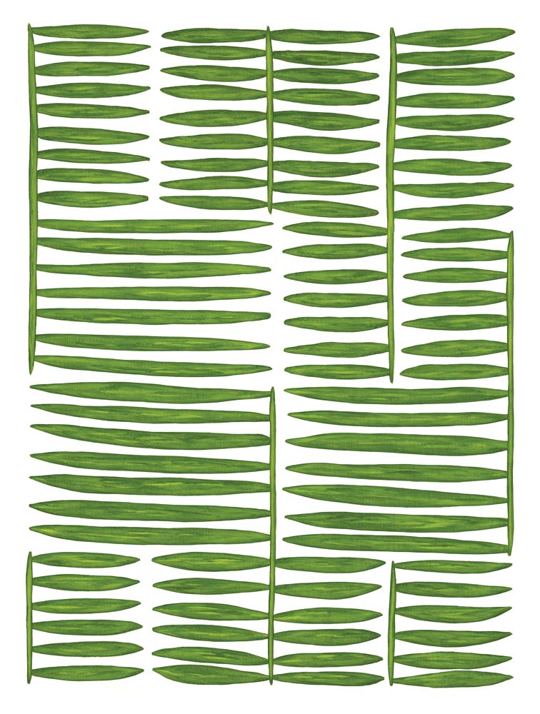 Botanicus Ordinibus 1 artwork
