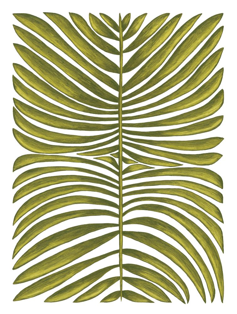 Botanicus Septem 1 artwork