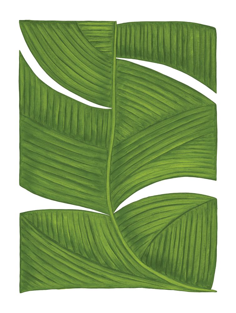 Botanicus Duodecim 1 — artwork