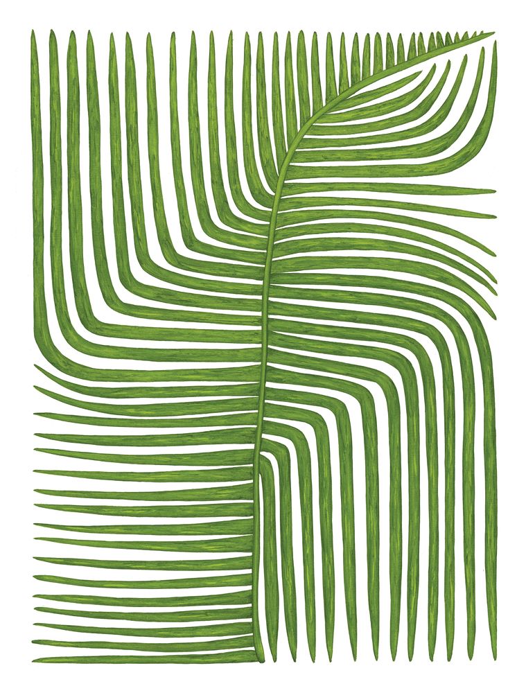 Botanicus Quattuordecim 1 artwork