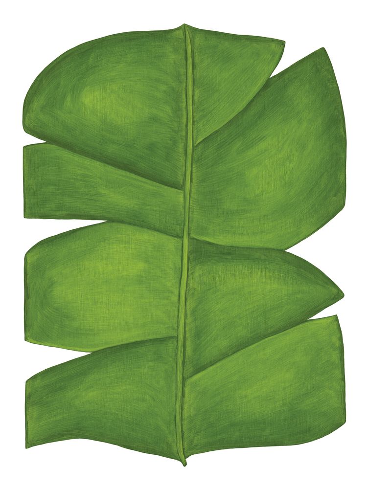 Botanicus Nulla 1 artwork