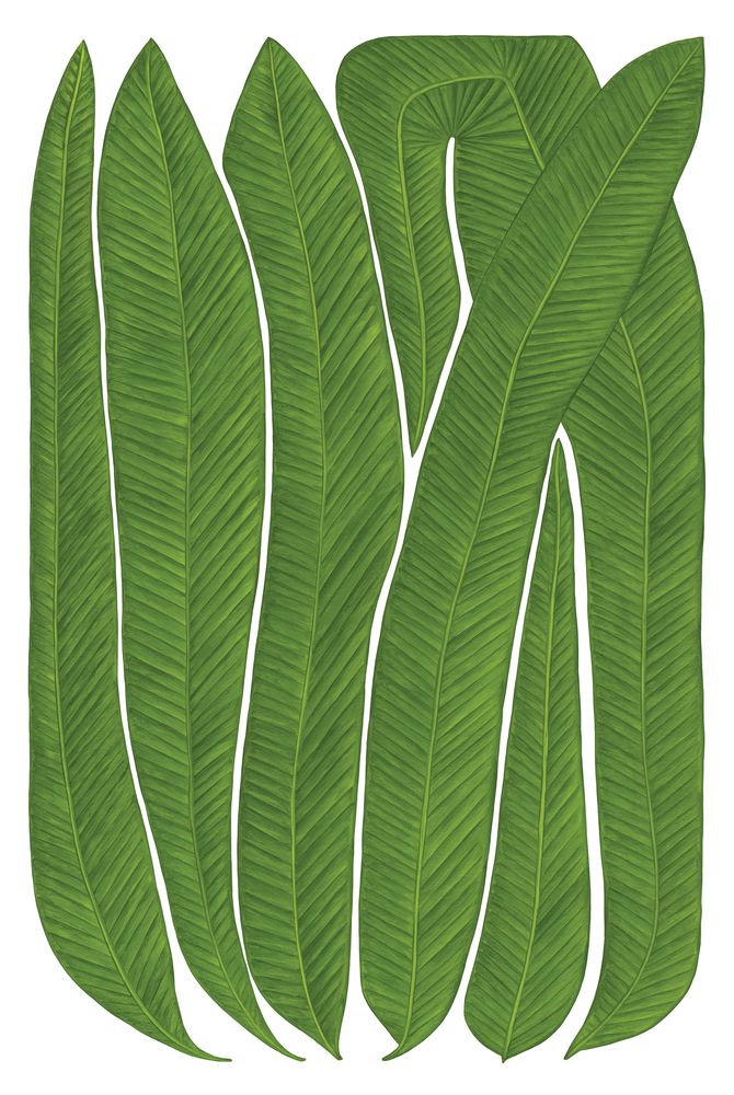 Botanicus Teneo 1 artwork