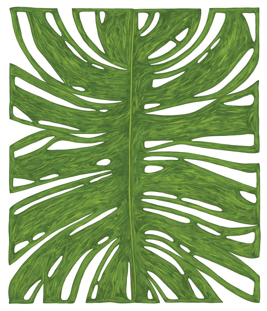 Botanicus Monstera 1 artwork