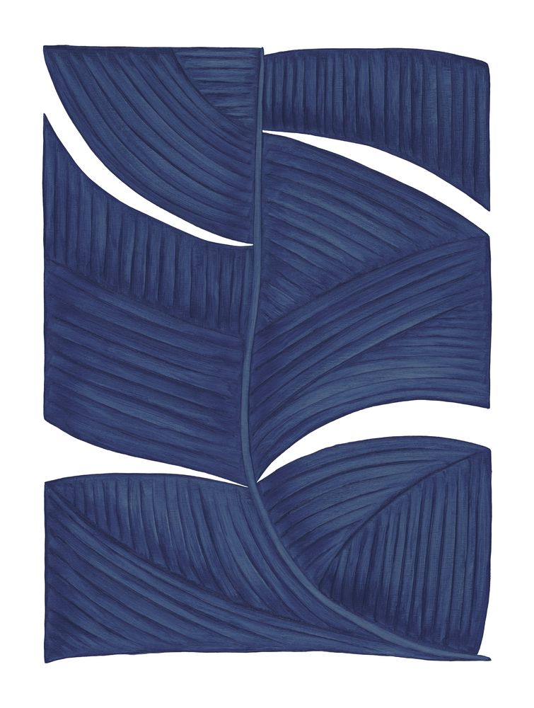 Botanicus Duodecim Blue 1 — artwork