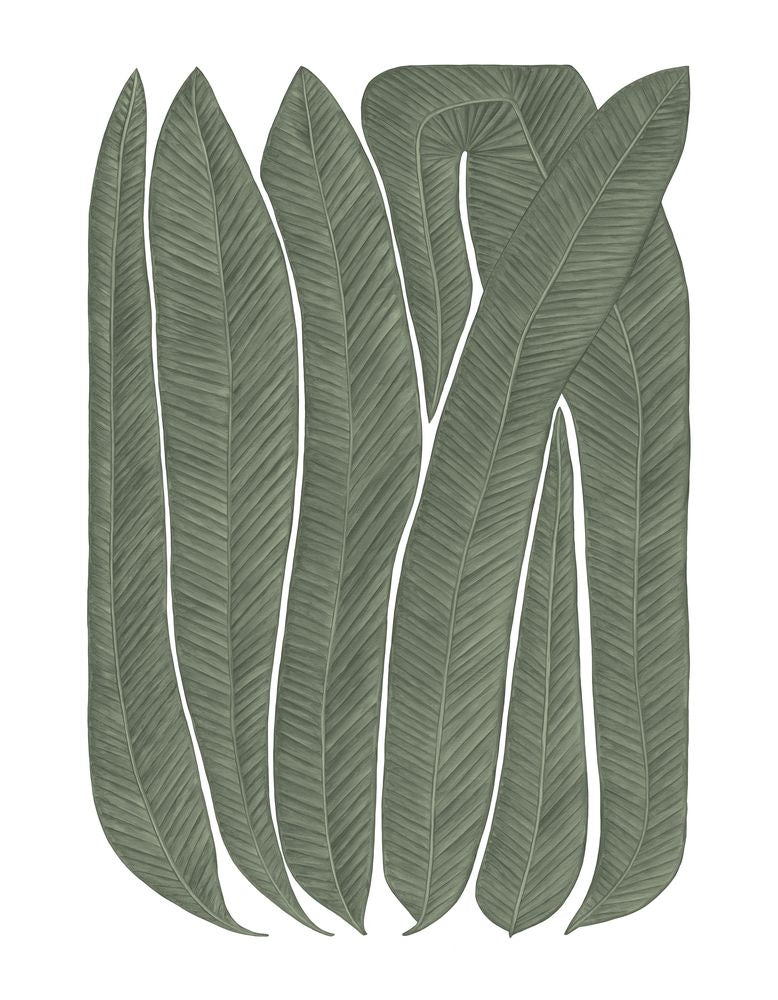Soft Blades 1 artwork