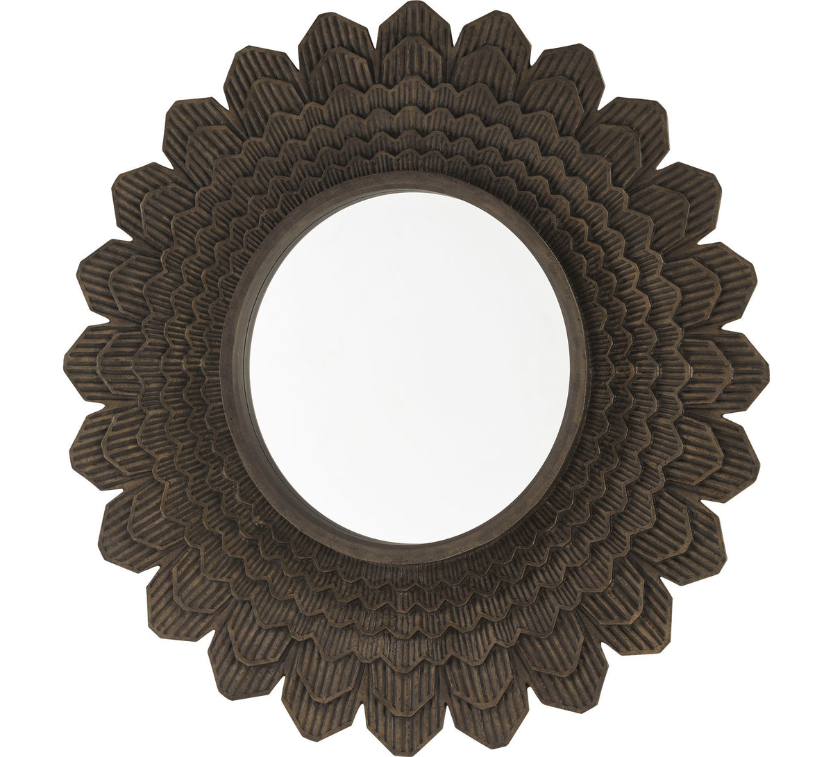 The Pangolin’s Mirror
