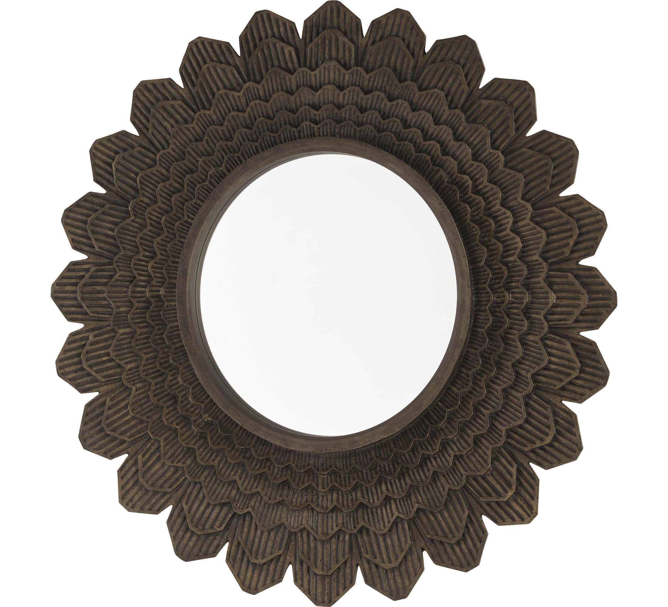 The Pangolin’s Mirror