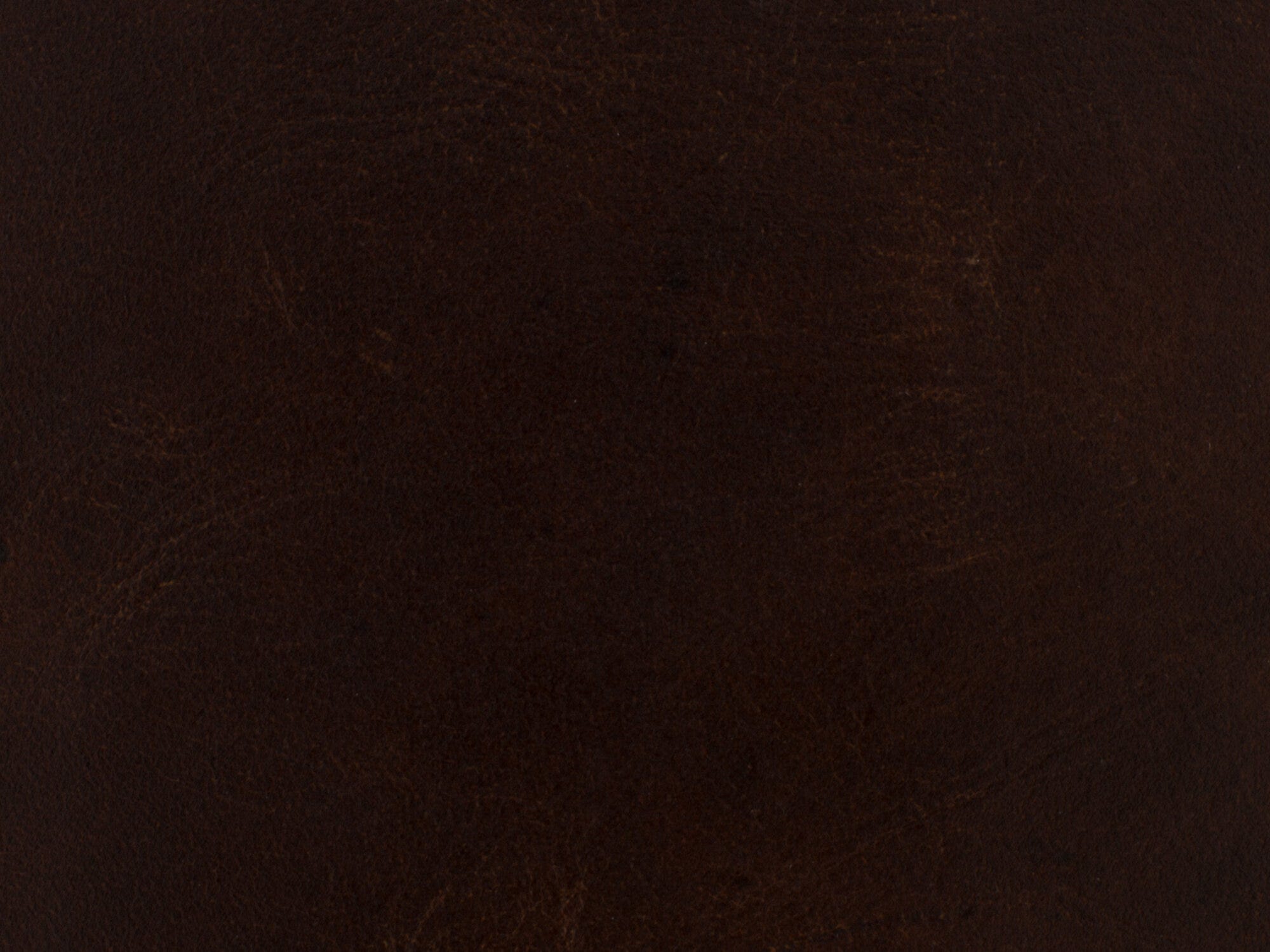 Maya Wing Club Chair