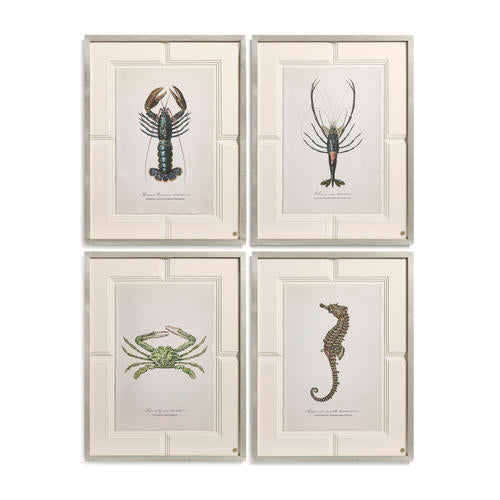 Vintage Marine Animals - Set of 4 – Accent Chairs by Jonathan Charles | Sutter & Vale