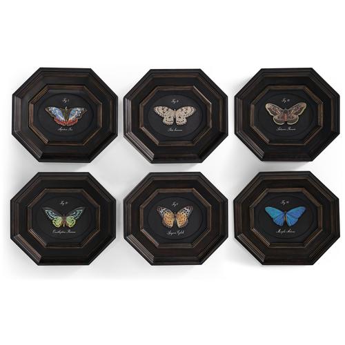 Wings of Discovery – Set of 6 – Accent Chairs by Jonathan Charles | Sutter & Vale