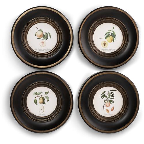 Vintage Fruit No. 1 - Set of 4 – Bedroom by Jonathan Charles | Sutter & Vale