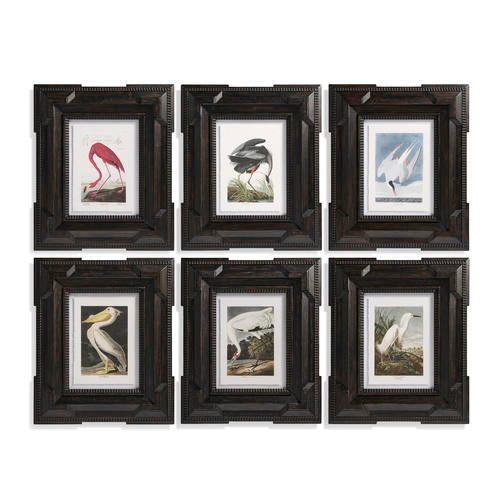 Audubon Birds - Set of 6 – Accent Chairs by Jonathan Charles | Sutter & Vale