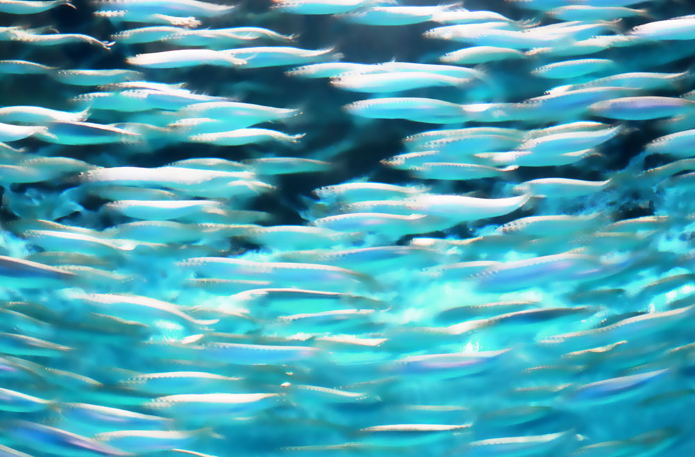 Below the Surface 1 — artwork