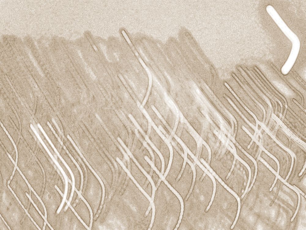 Circa 1 artwork
