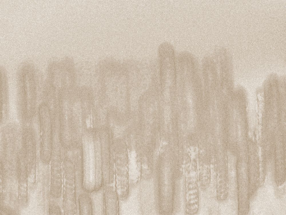 Circa 2 artwork