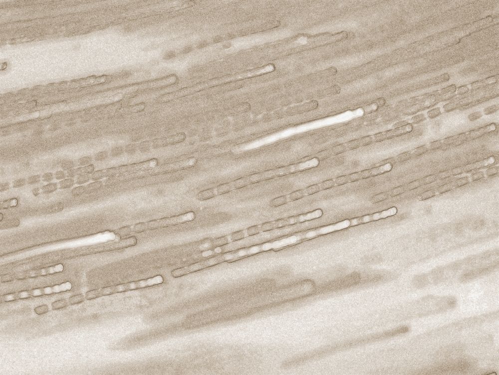 Circa 4 artwork