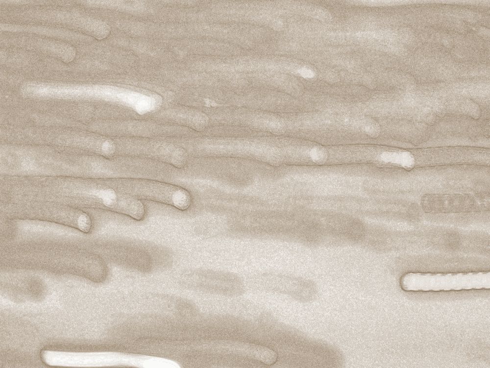 Circa 11 artwork