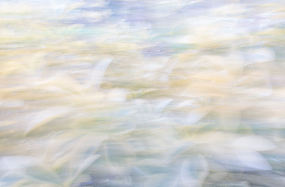 Dream Sky 2 artwork