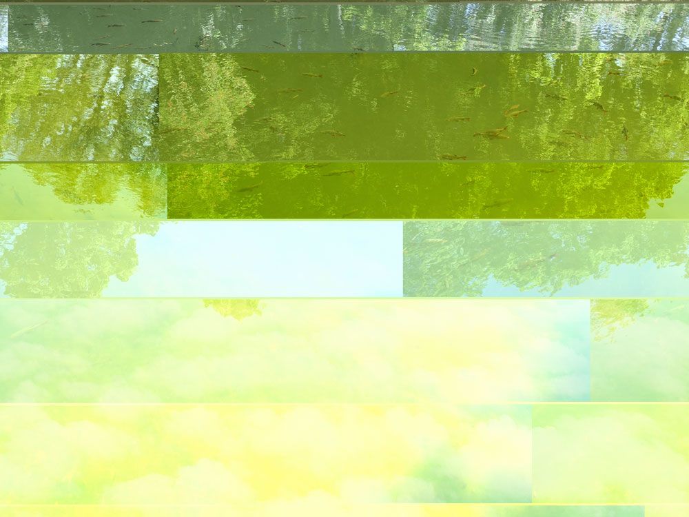 Pond Paradise 1 artwork