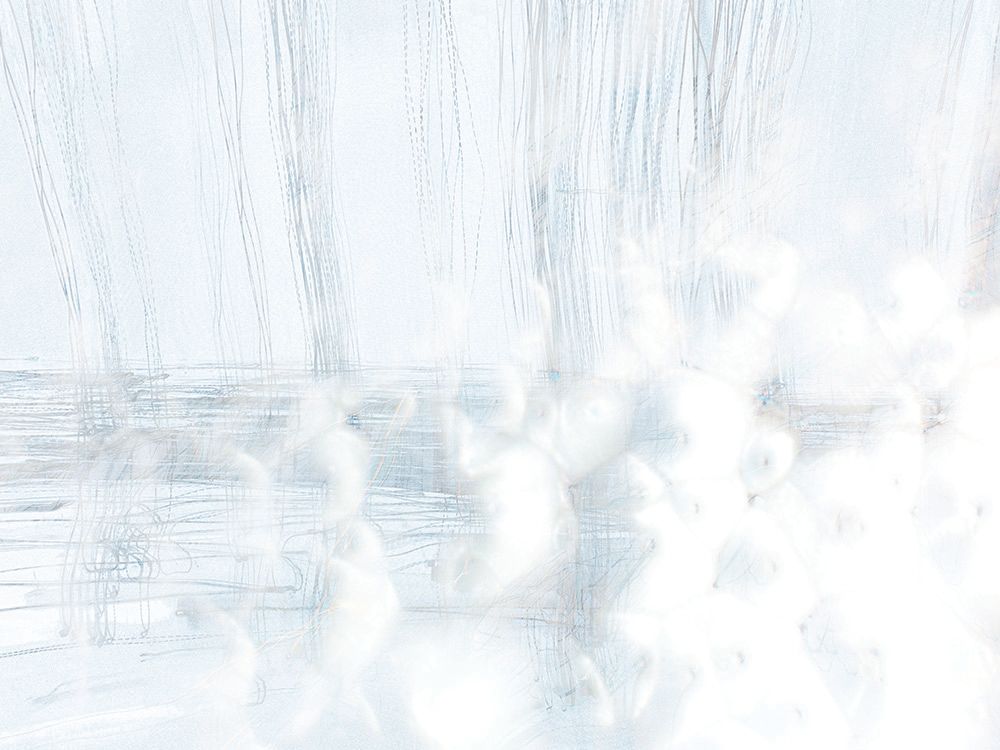 Soft Complexity 2 artwork