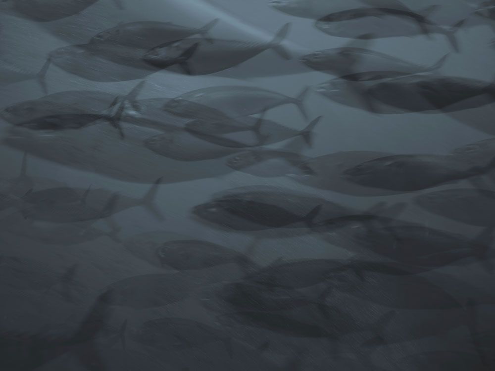 Under The Sea 1 artwork