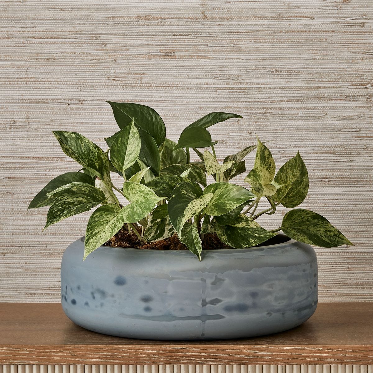 Cirrus Bowl