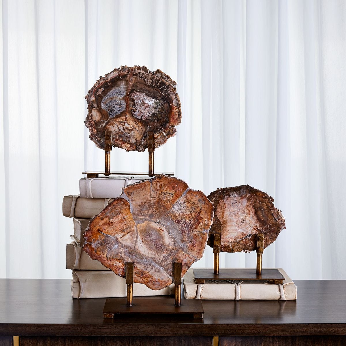 Petrified Wood Sculpture