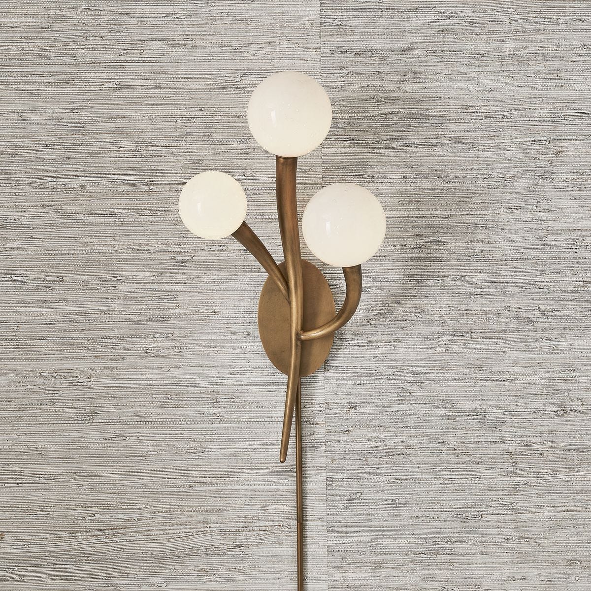 Cornet, 3 Lt Sconce - Left