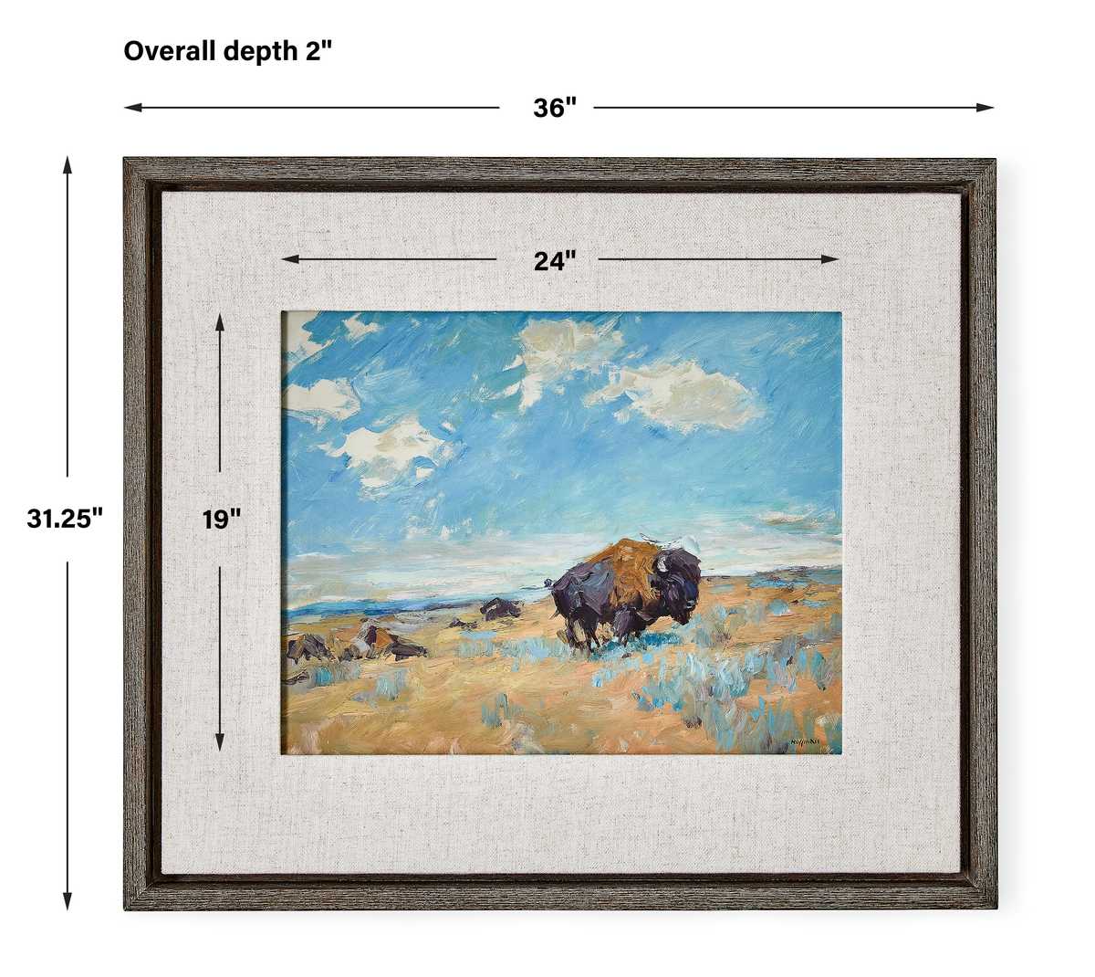 Buffalo Framed Canvas