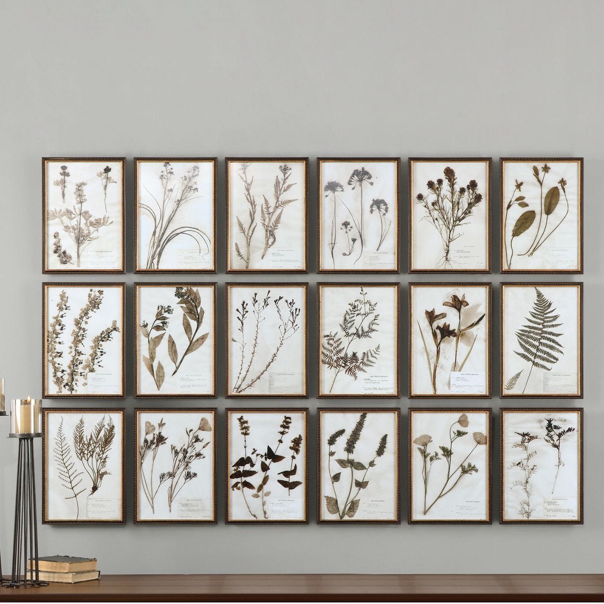 Botany Framed Prints, S/18